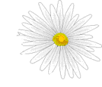 daisy.gif (4163 bytes)