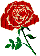 rose9.gif (9180 bytes)