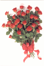 rosses_card_small.gif (18022 bytes)